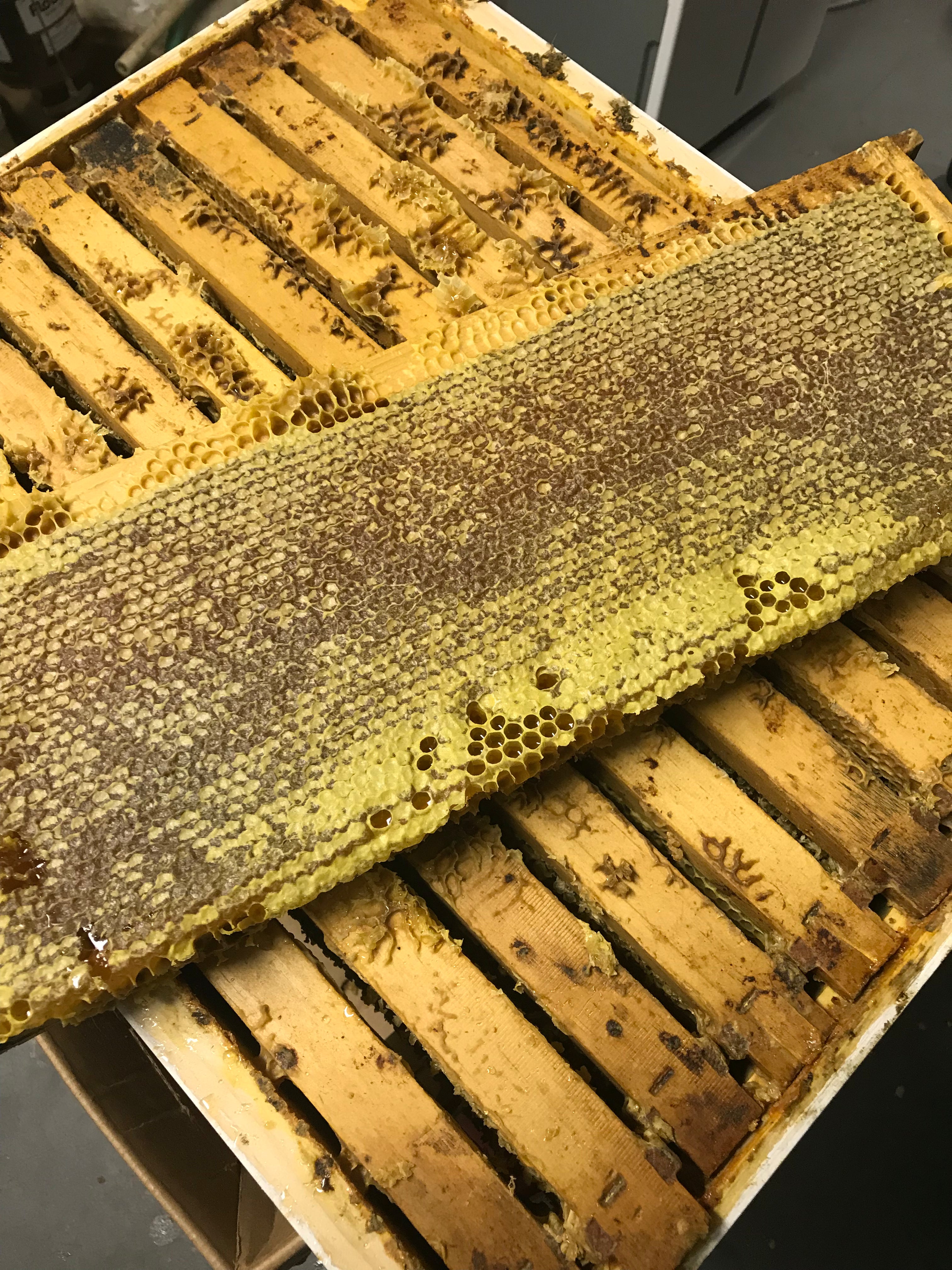 The H Life Home Spun Honey