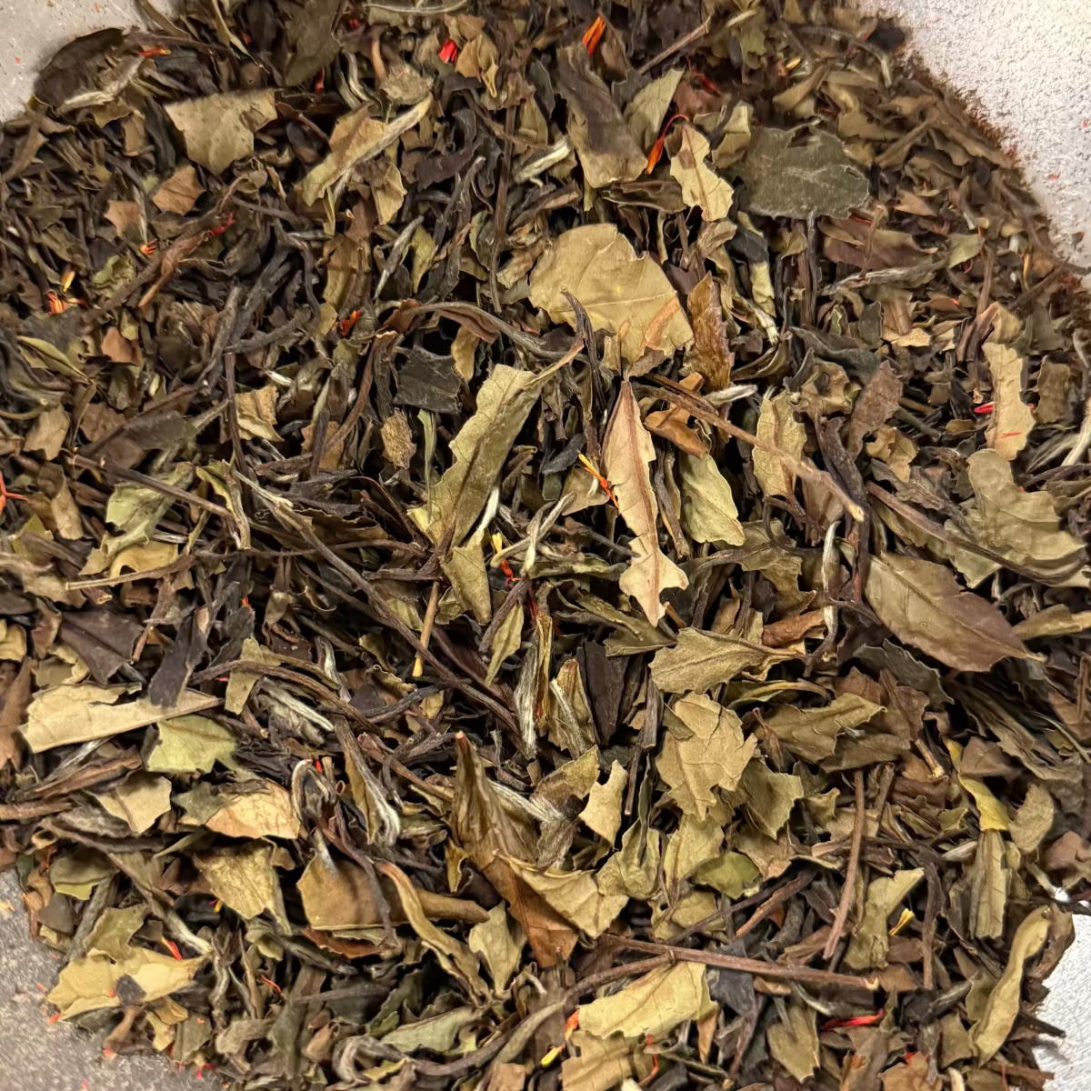 Melonberry White