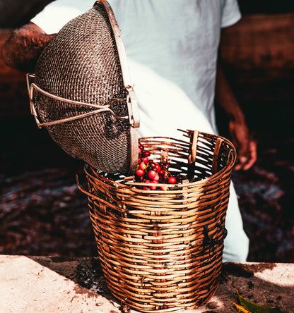 Costa Rican Tarrazu Coffee