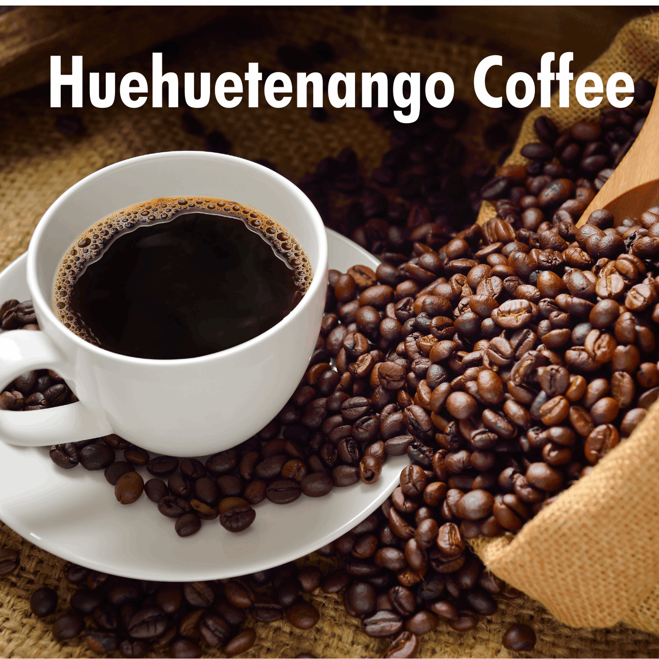 Guatemalan Huehuetanego Coffee