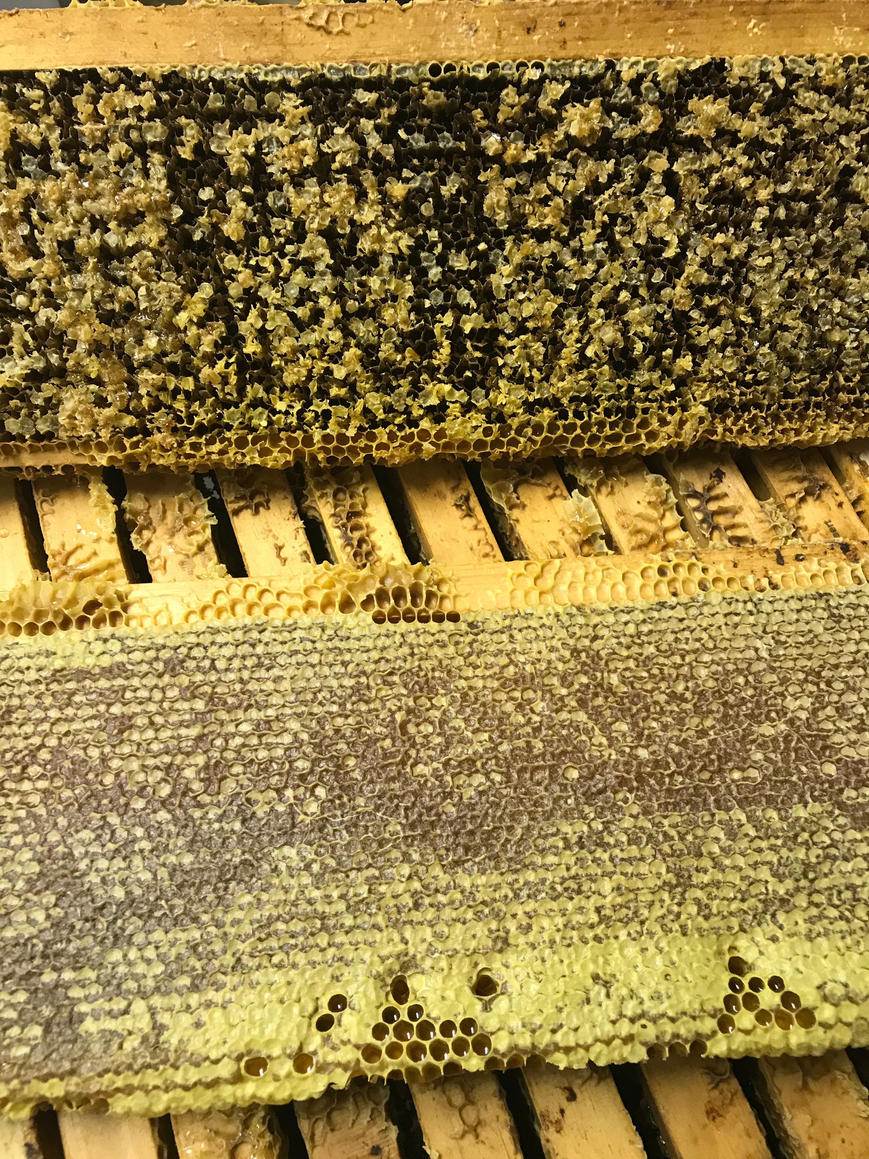 The H Life Home Spun Honey