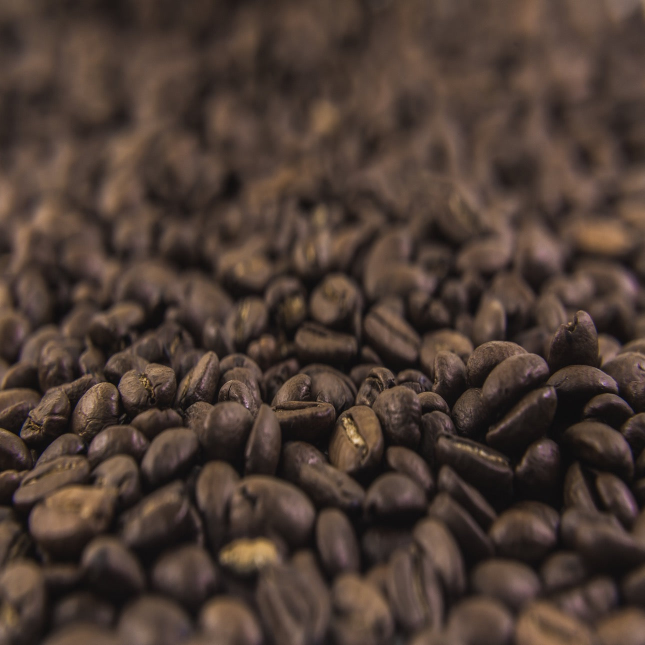 Costa Rican Tarrazu Coffee